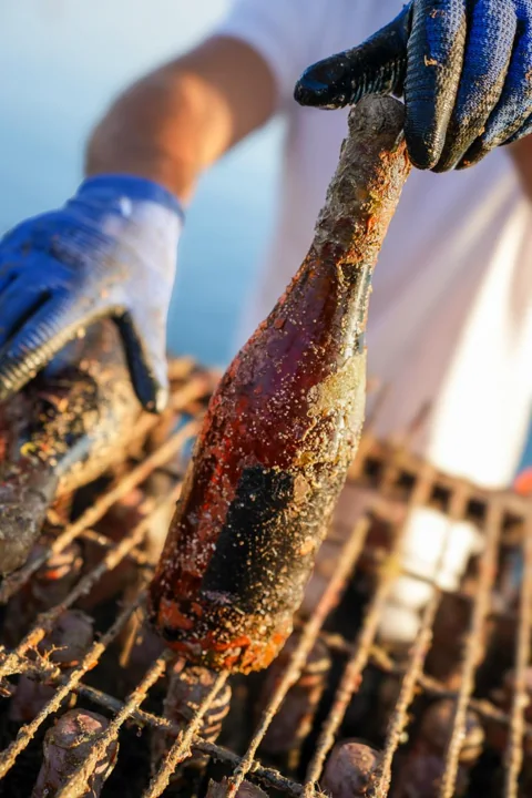 Una bottiglia recuperata dal mare, tenuta sopra la gabbia.